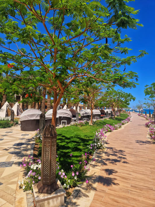 Gartenanlage The Grand Palace - Adults only