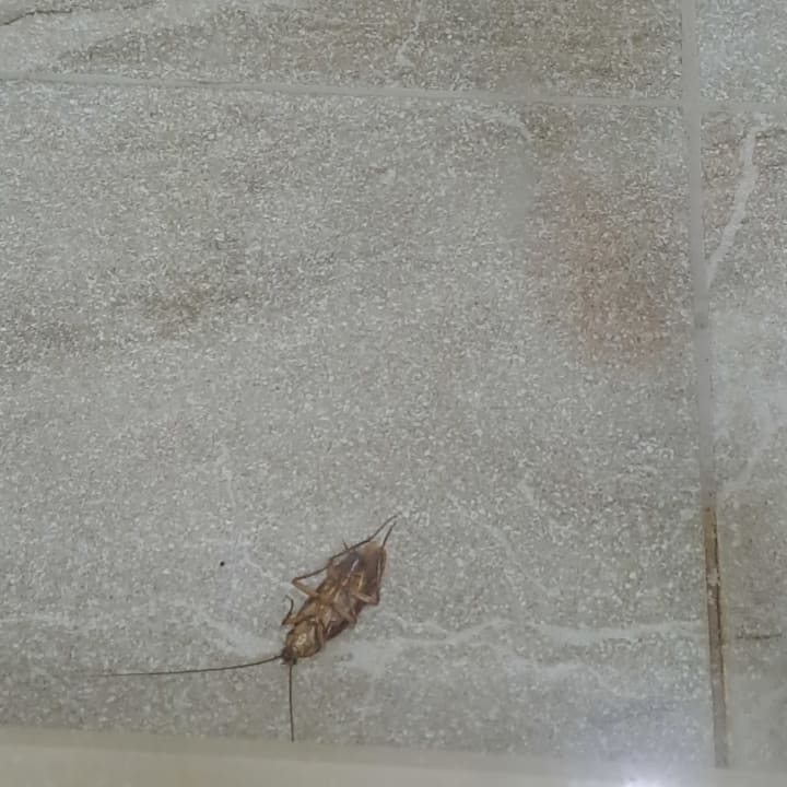 Sonstiges Salamis Bay Conti Resort Hotel & Casino