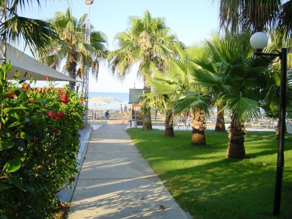 Weg vom Hotel zum Strand Hotel Miramare Beach