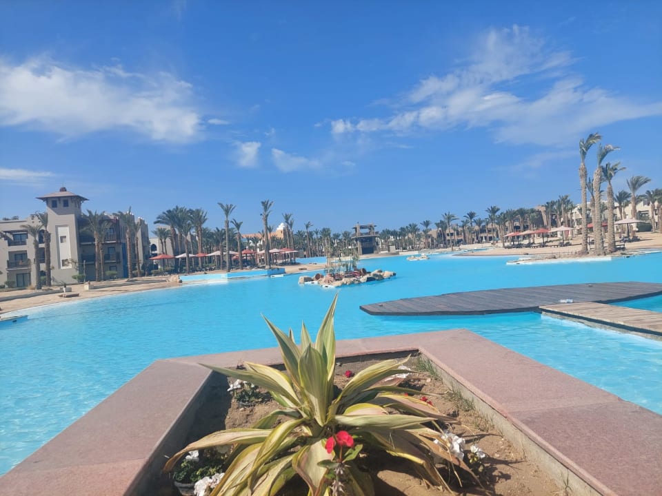 Pool Pickalbatros Palace Hotel-Port Ghalib