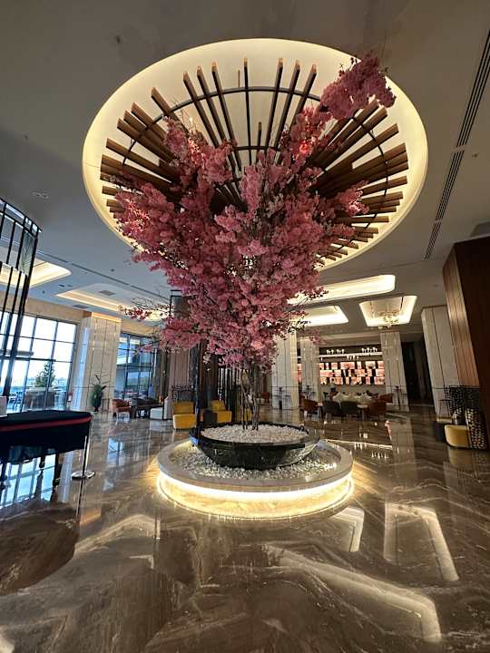 Gartenanlage Calyptus Kirman Premium