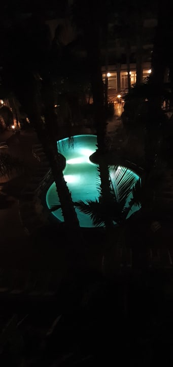 Ausblick Tabaiba Princess