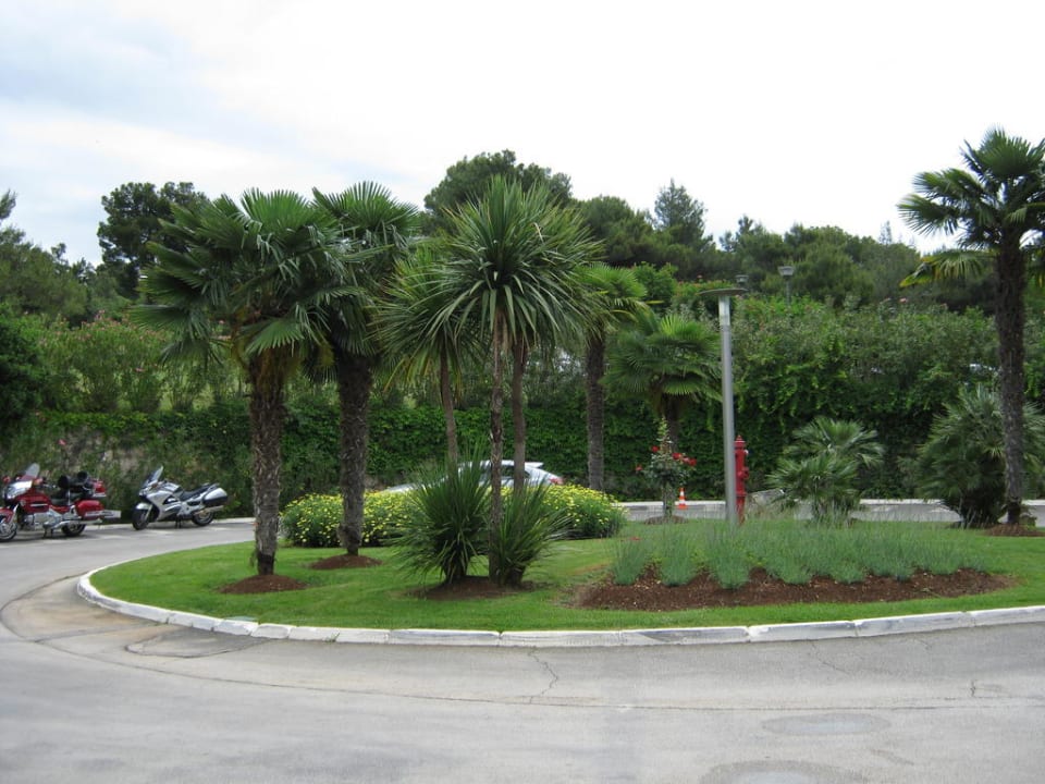 Hoteleingangszufahrt Rubin Hotel