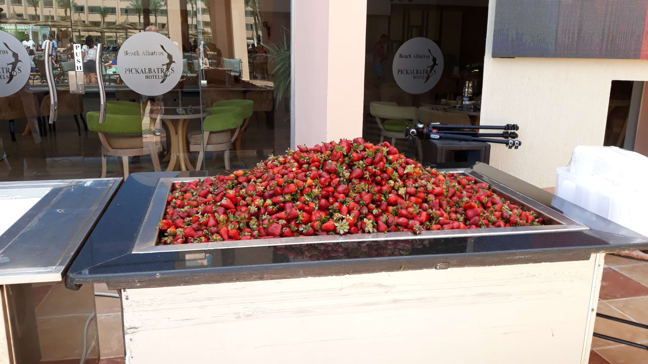 Erdbeeren Beach Albatros Resort