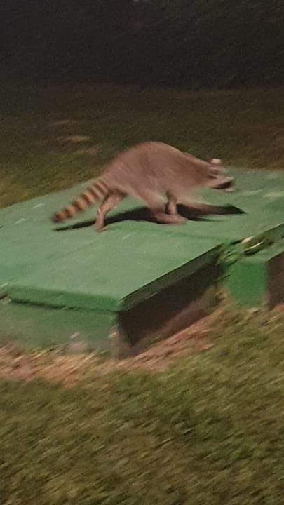 Gartenanlage Bahia Principe Grand Tulum