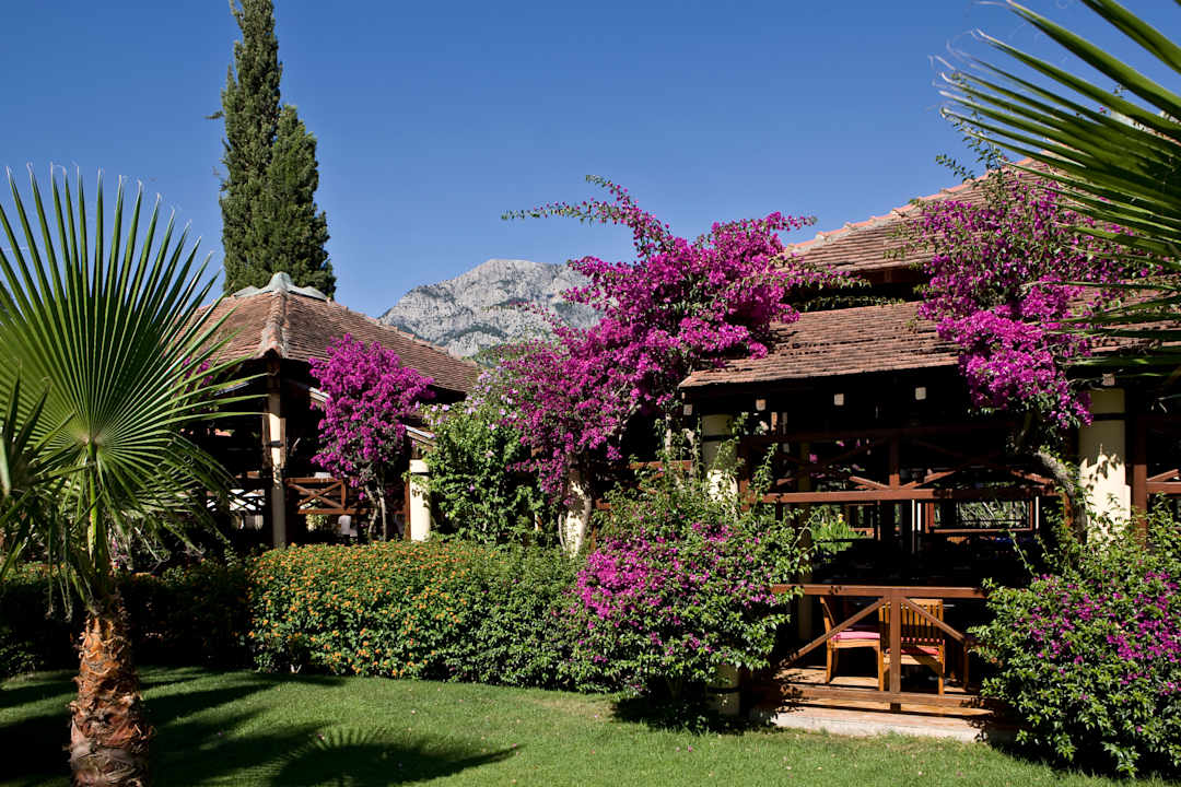 Gartenanlage Club Med Palmiye