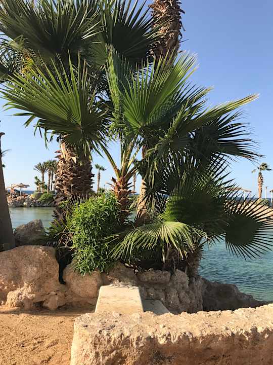 Strand Pickalbatros Citadel Resort