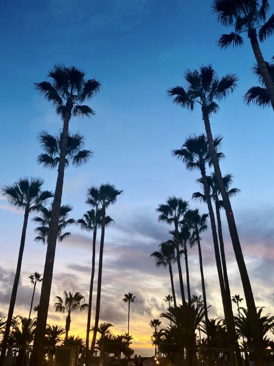Ausblick Hotel Riu Palace Tenerife