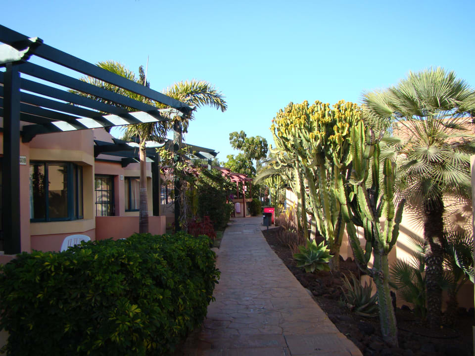 Gartenanlage allsun Hotel Esplendido