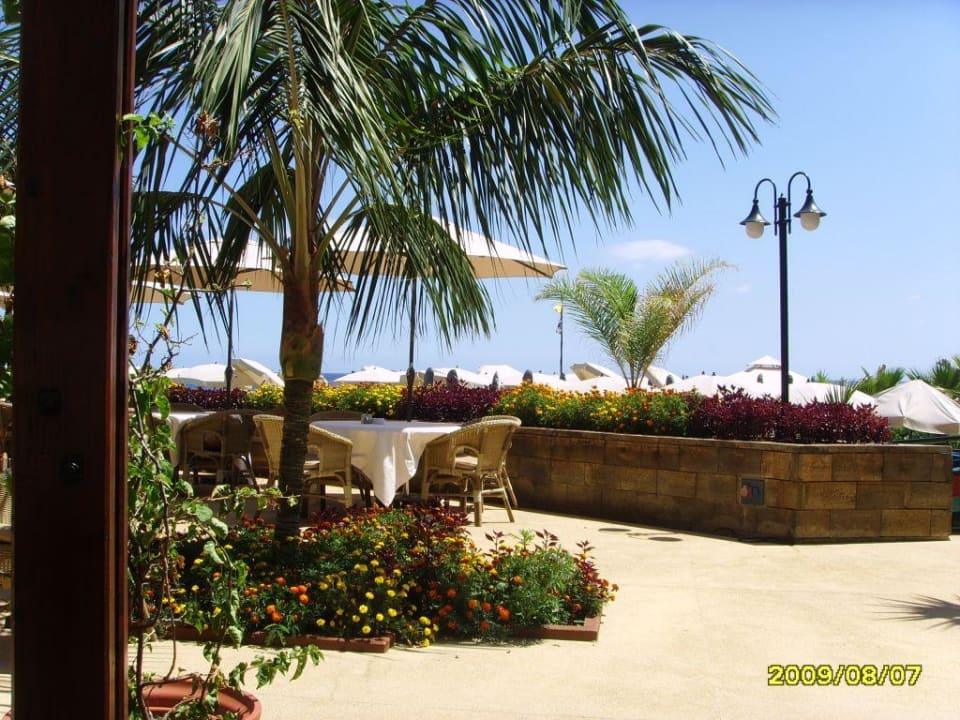 Przy basenie Hotel The Cliff Bay (PortoBay)