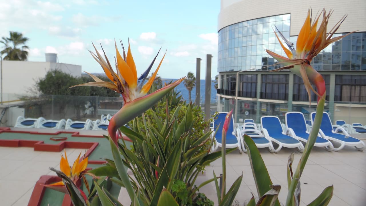 Pool db San Antonio Hotel + Spa
