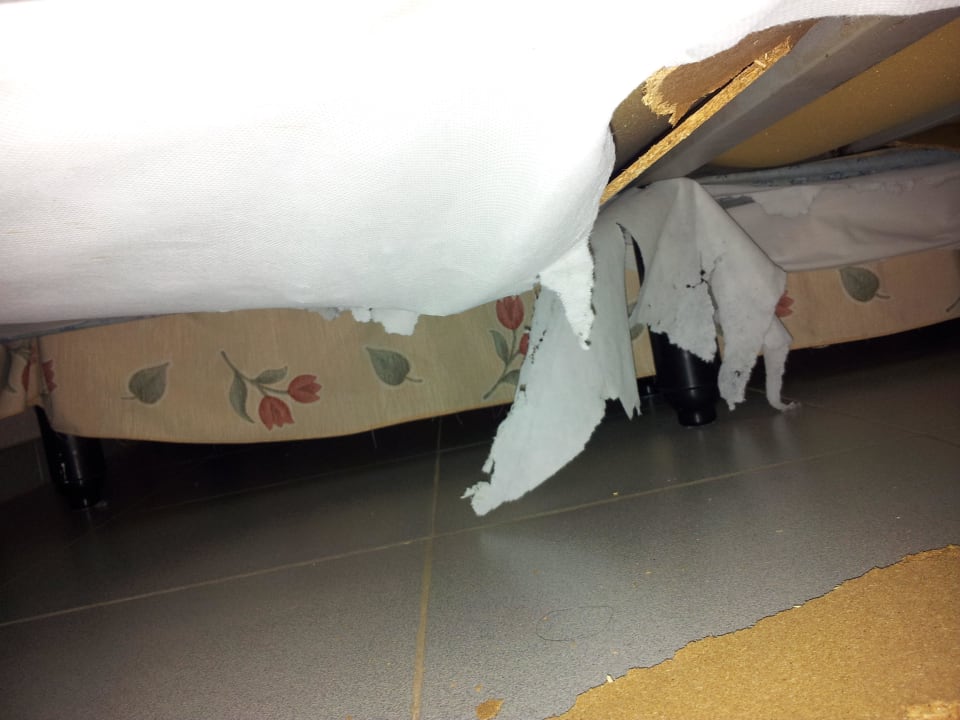 2. Bett von unten  BLUESEA Lagos de Cesar