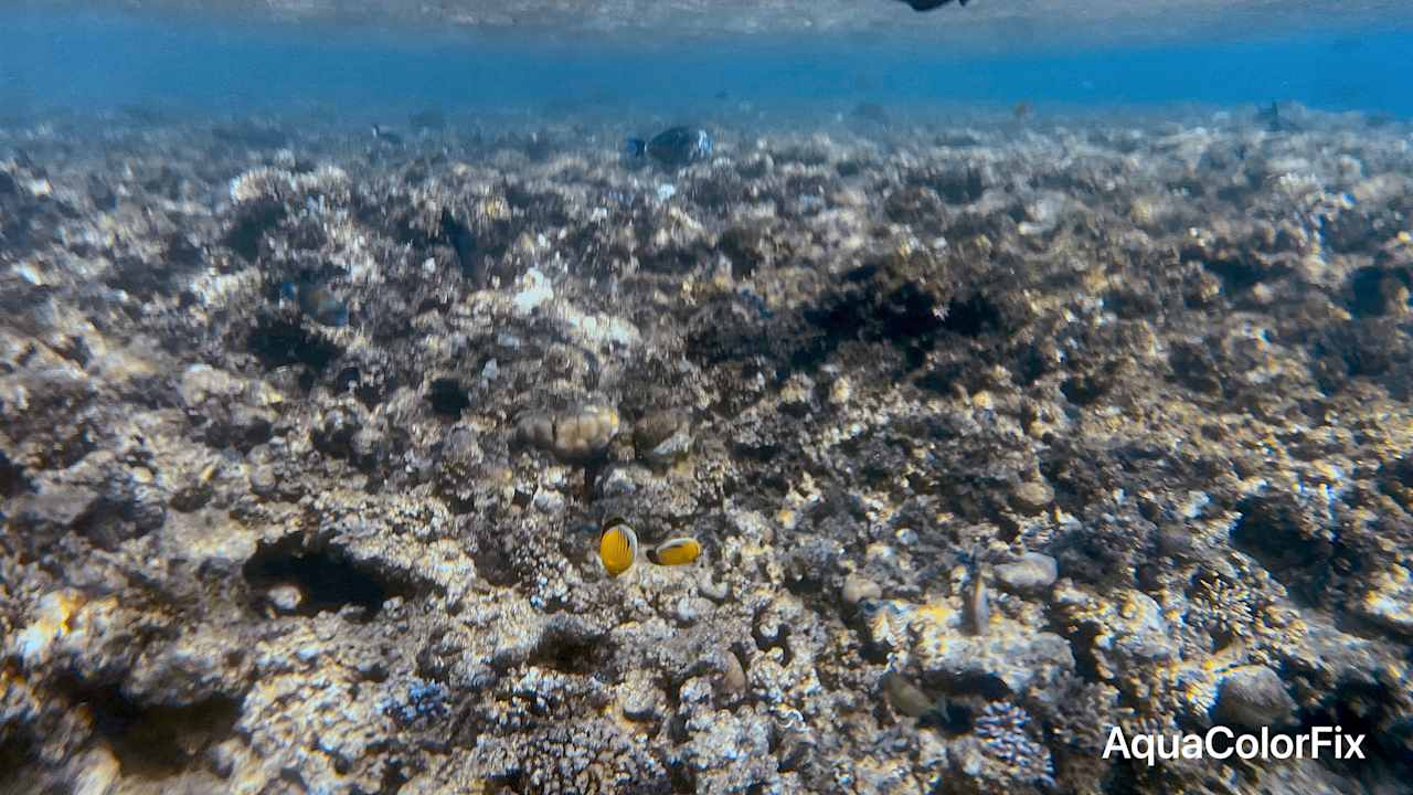 Strand Jaz Makadi Oasis Resort