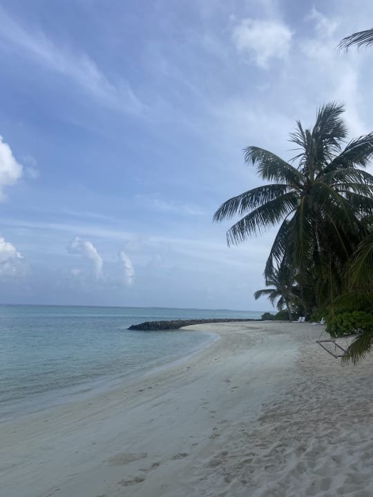 Strand Summer Island Maldives