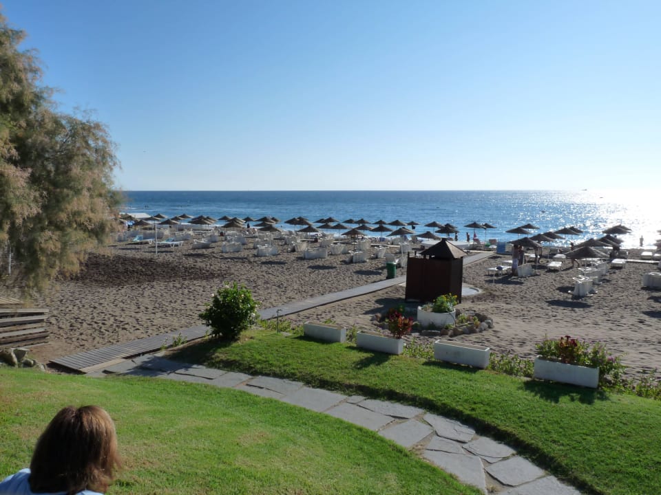 Blick von Poolbar auf Strand Hotel Calypso Beach