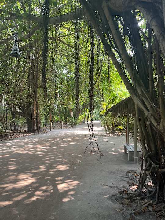 Gartenanlage Kuredu Island Resort & Spa