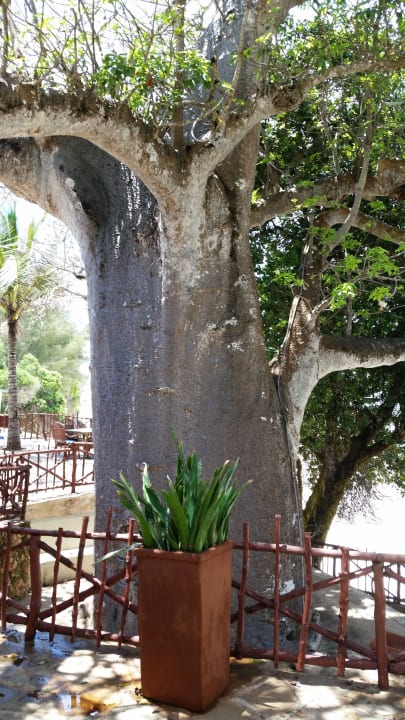 Hotel Baobab Beach Resort Baobab Beach Resort & Spa