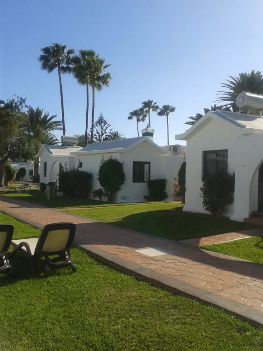 Canary Garden club Canary Garden Club