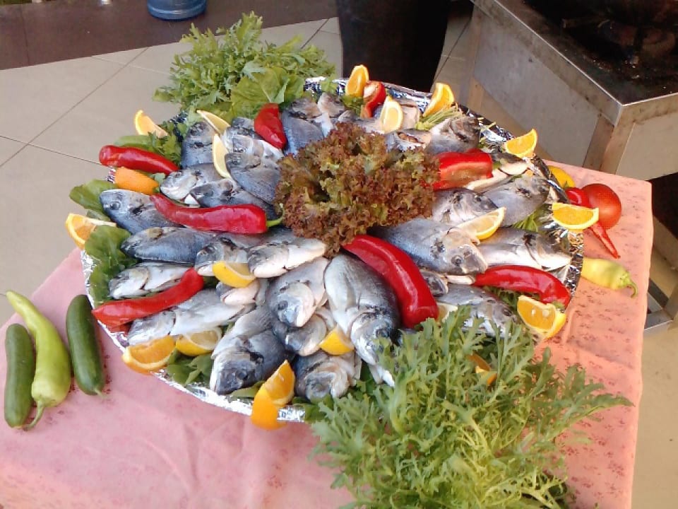 Mmh! lecker! Hotel Orfeus Park