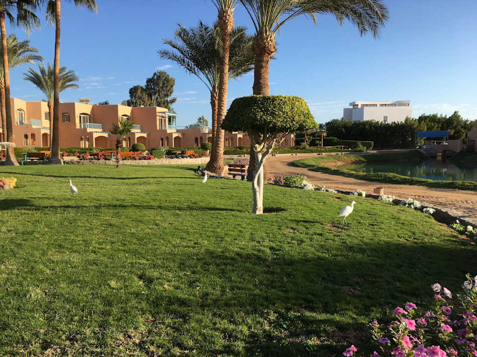 Gartenanlage Club Paradisio El Gouna, Red Sea