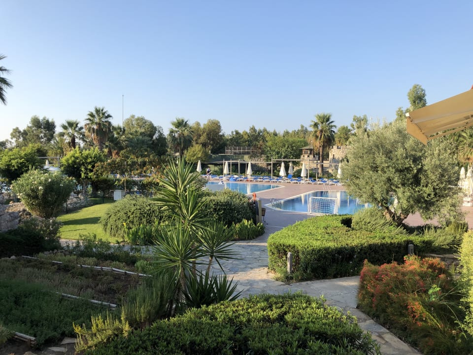 Pool TUI BLUE Sarigerme Park