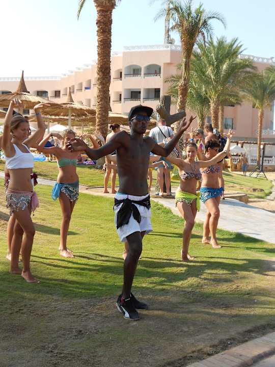 Bauchtanzkurs mit Mambo Beach Albatros Resort