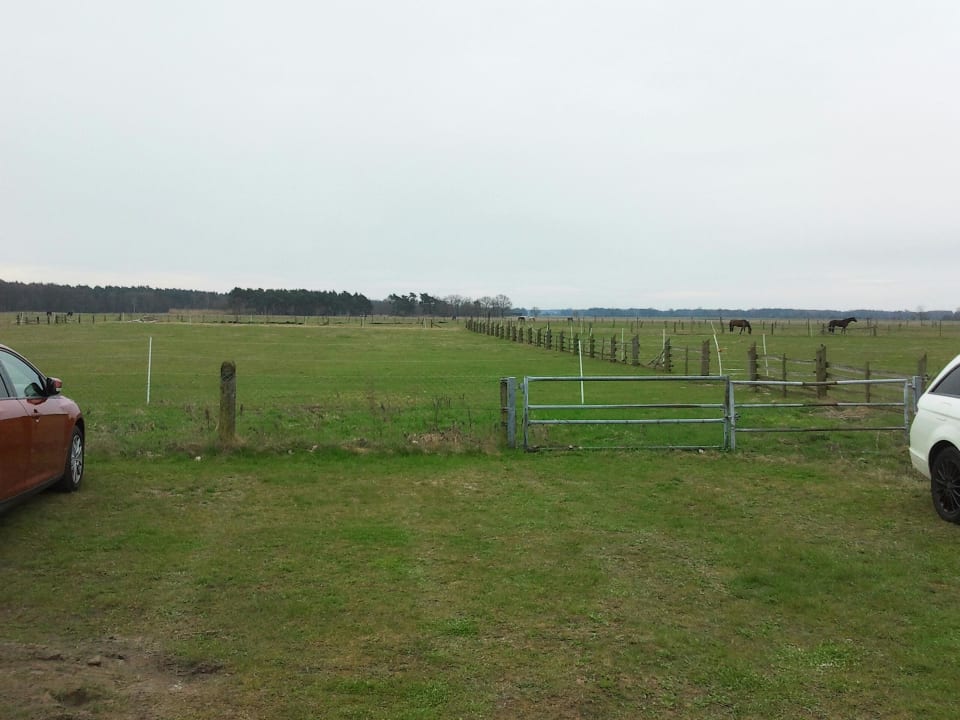 Hinter dem Hotel - weites Land, idyllisch Wolfshotel am Arendsee