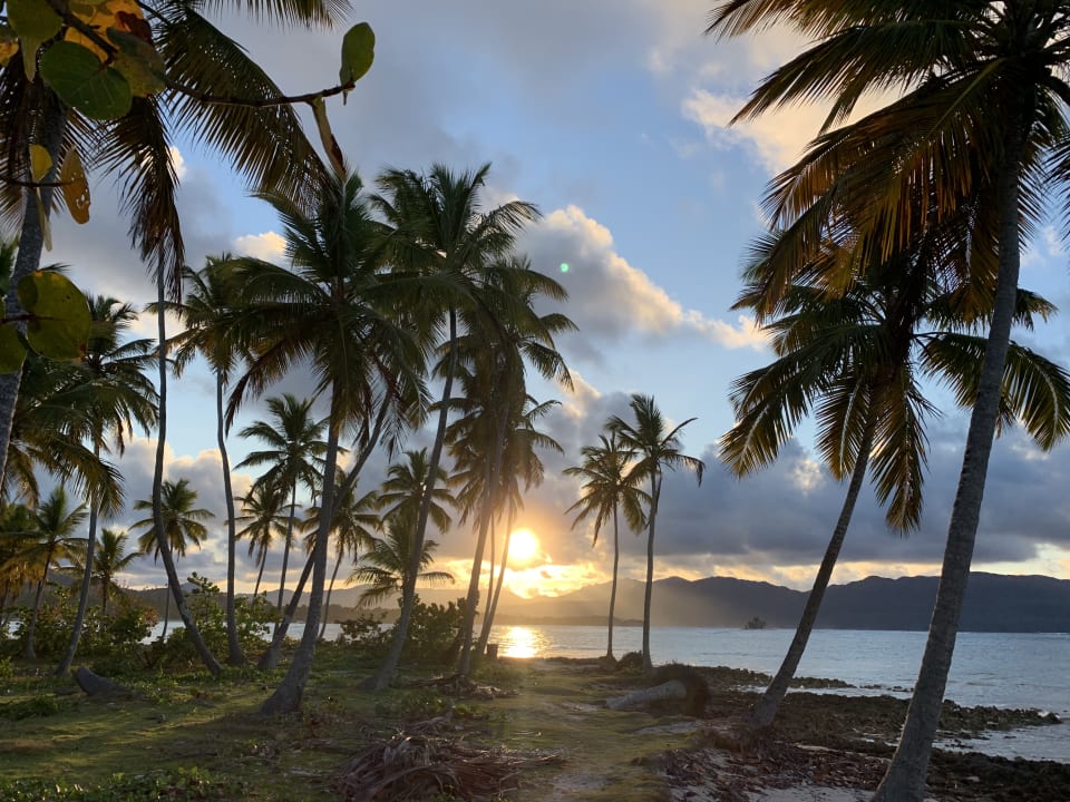 Ausblick Wyndham Alltra Samana