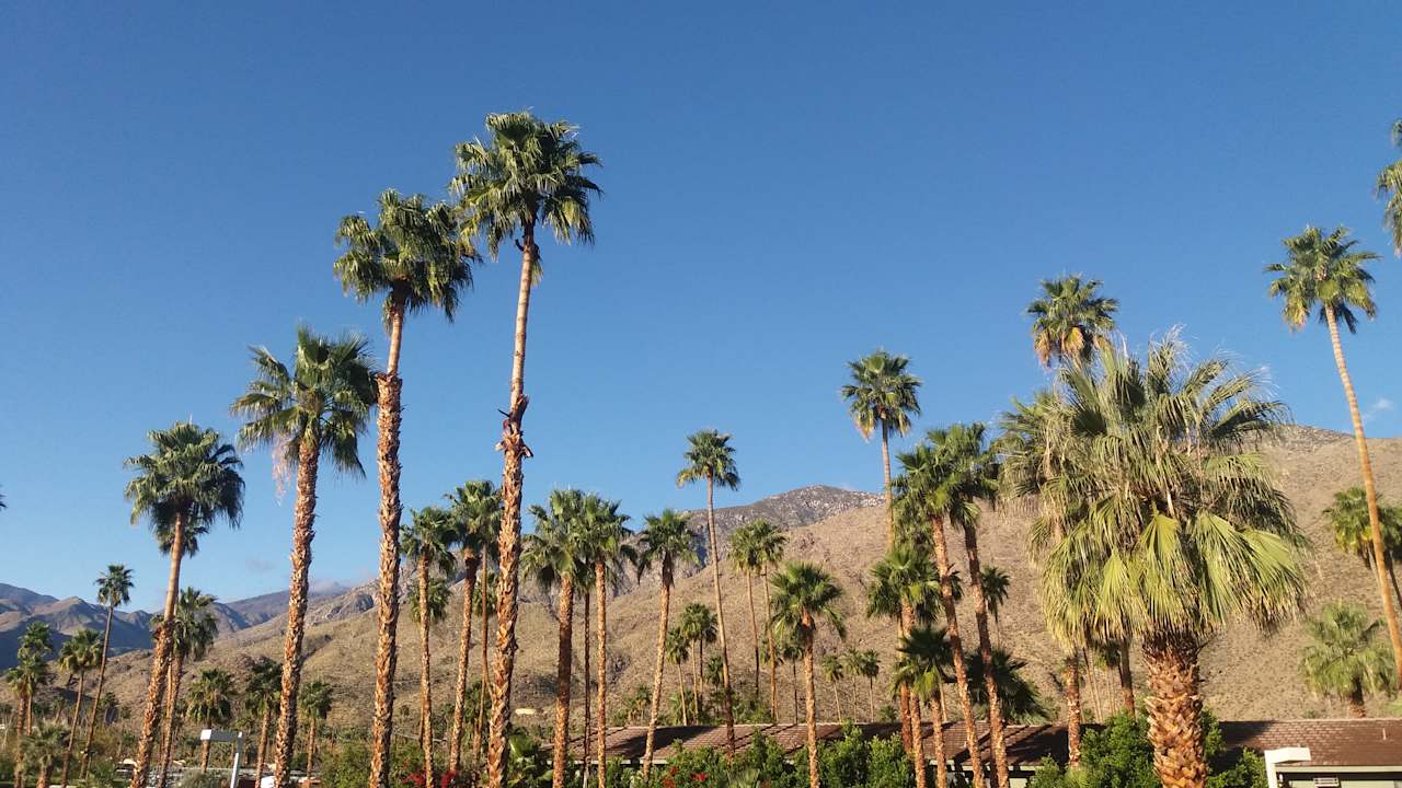 Ausblick Motel 6 Palm Springs East - East Palm Canyon