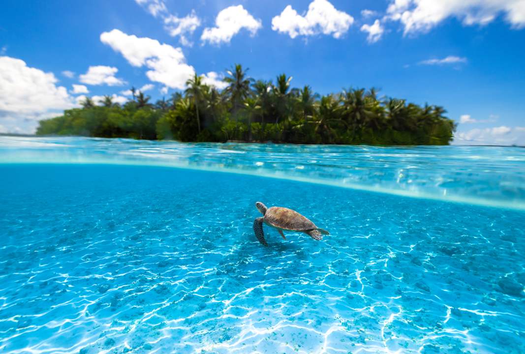Sonstiges Kudadoo Maldives Private Island – Luxury All inclusive