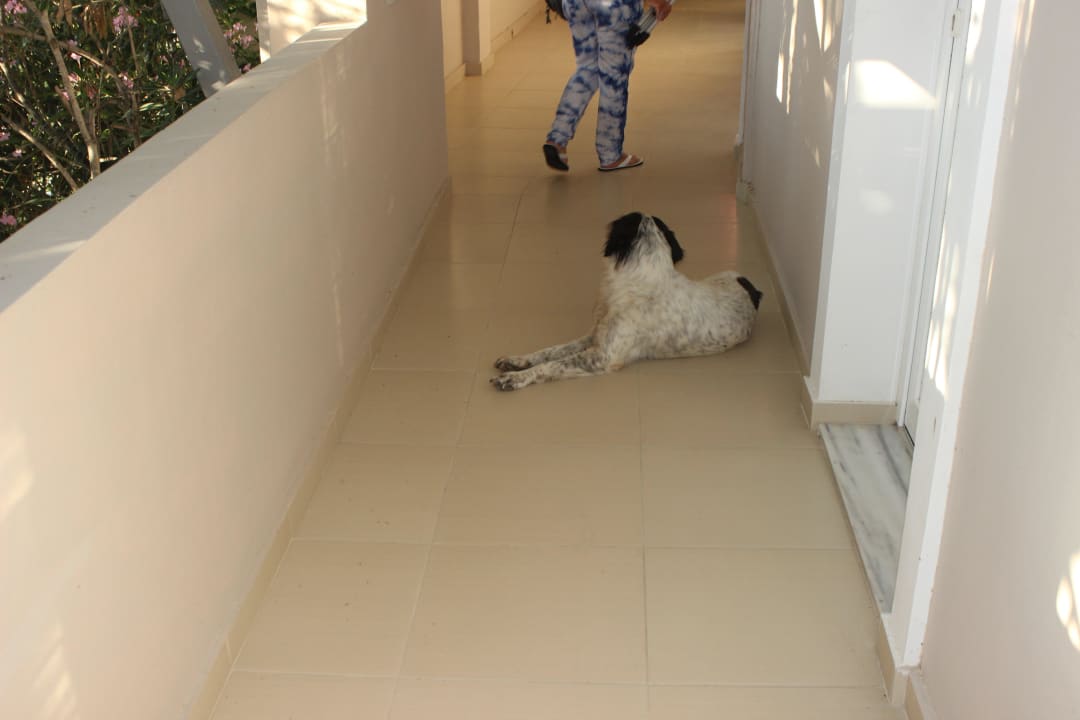 Flur Gloria Maris Hotel Suites and Villa