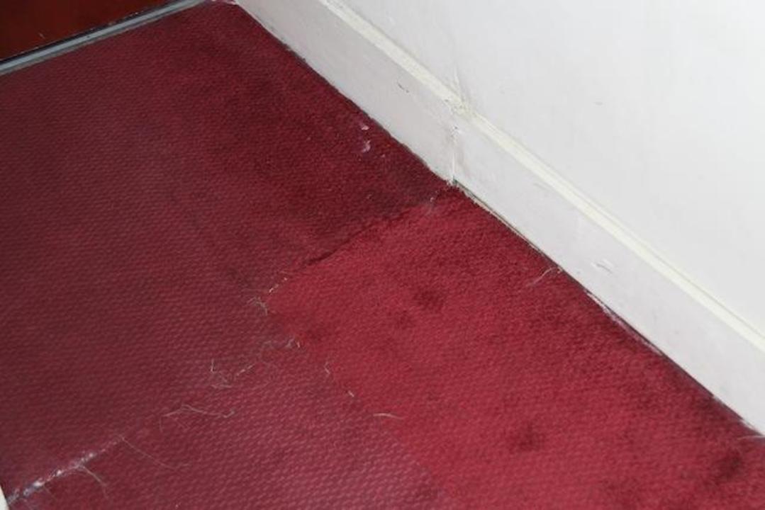 Teppichboden im Zimmer Hotel Euro Lodge Clapham