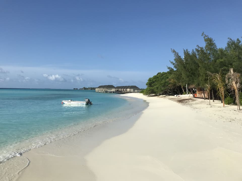 Strand Summer Island Maldives