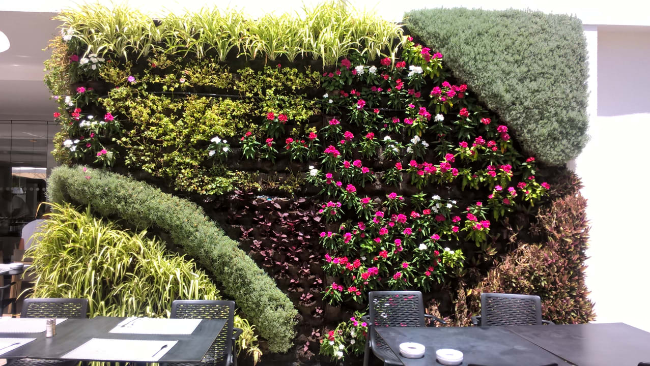 Gartenanlage alltoura Club Hotel Akeah Broncemar