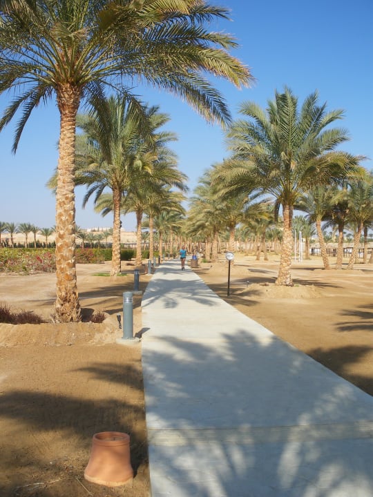 Ścieżka biegowa Jaz Solaya