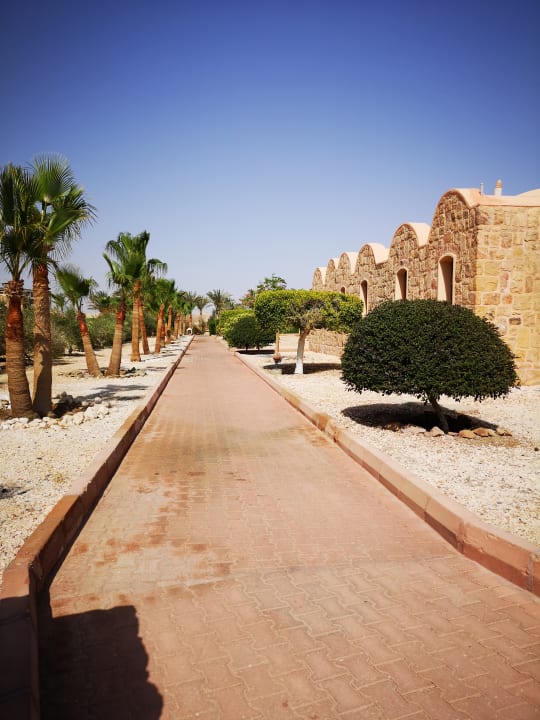 Gartenanlage Mövenpick Resort El Quseir