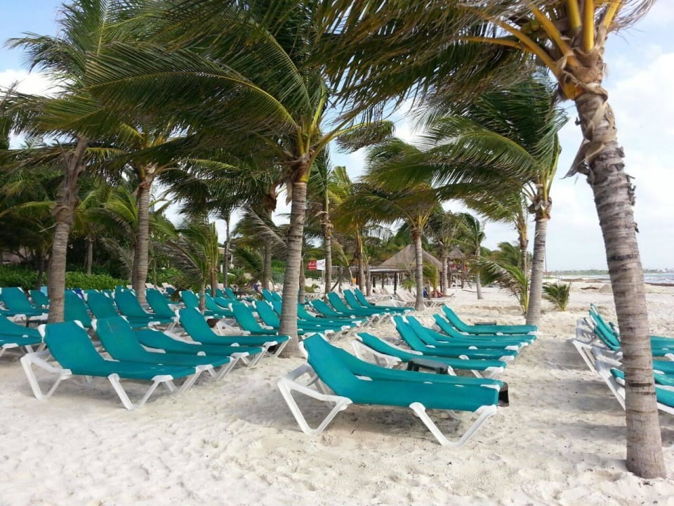 Hotel Catalonia Playa Maroma Catalonia Playa Maroma