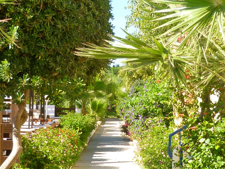 Gartenanlage Hotel Gaia Village