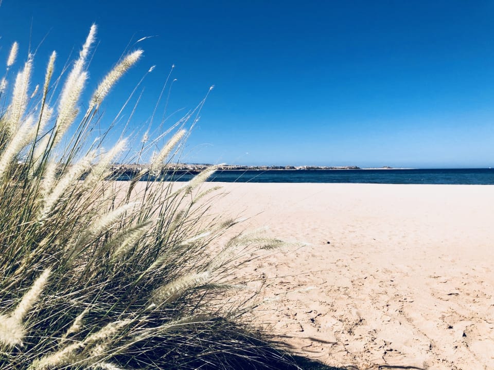 Strand Baron Palace Sahl Hasheesh