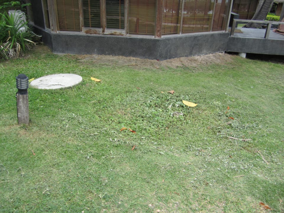 Sehr ungepflegt  The Haad Tien Beach Resort