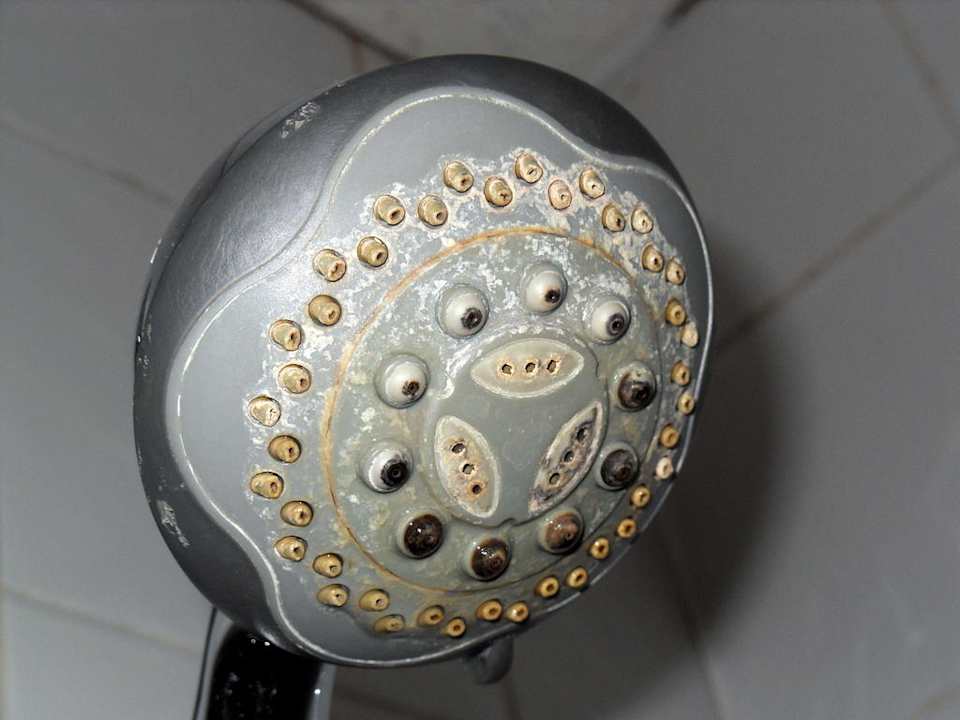 Duschkopf Hotel Euro Lodge Clapham