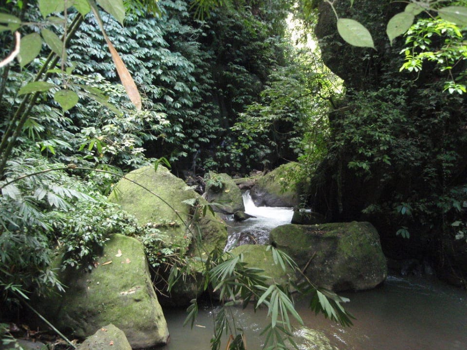 Fluß Nandini Jungle Resort & Spa