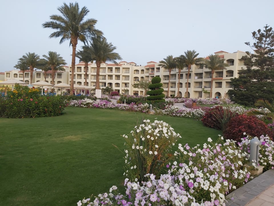 Gartenanlage Pickalbatros Dana Beach Resort - Hurghada