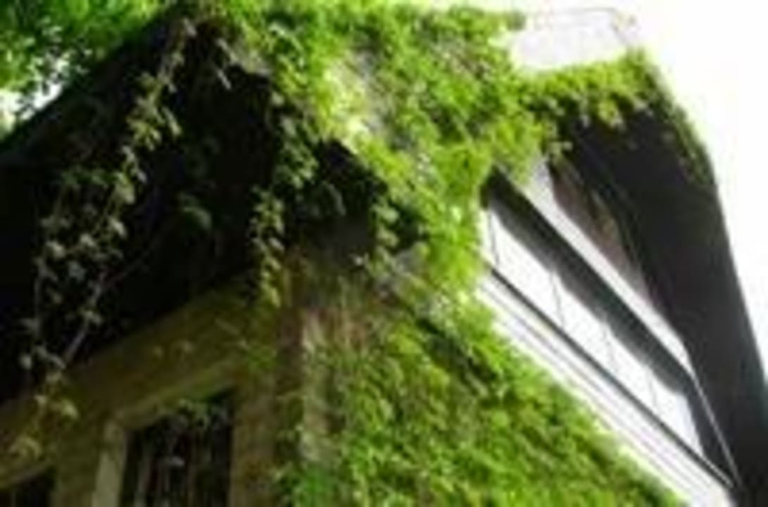 Die Jugendherberge von Aussen Youth Hostel Beaufort