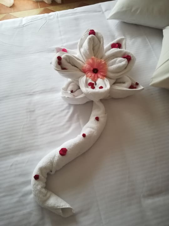 Zimmer Sharm Grand Plaza Resort