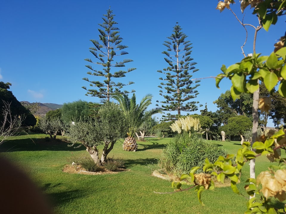 Gartenanlage TUI BLUE Oceanis Beach and Spa Resort