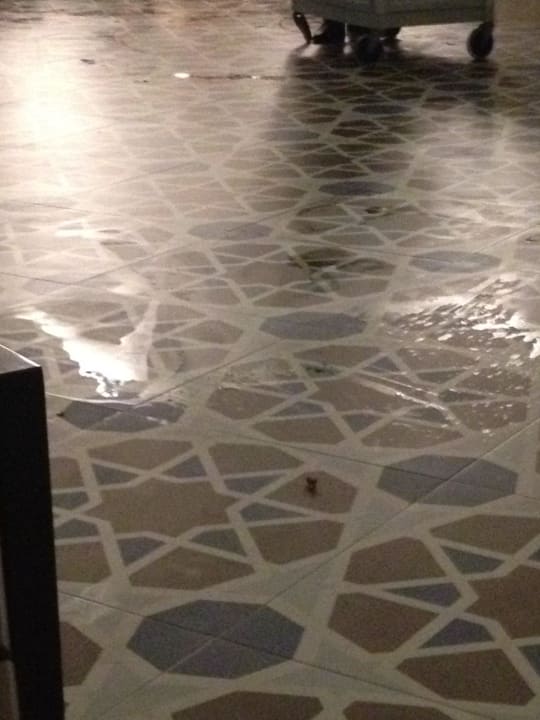 5 Sterne Dreckfleck Rubi Platinum Spa Resort & Suites