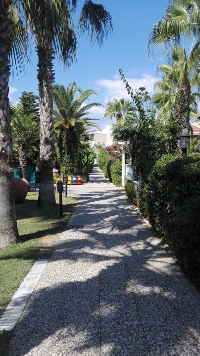 Gartenanlage Paloma Oceana