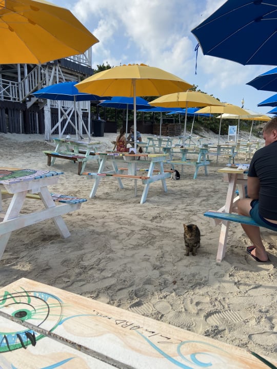 Strand Royalton Hicacos Resort & Spa - Adults only
