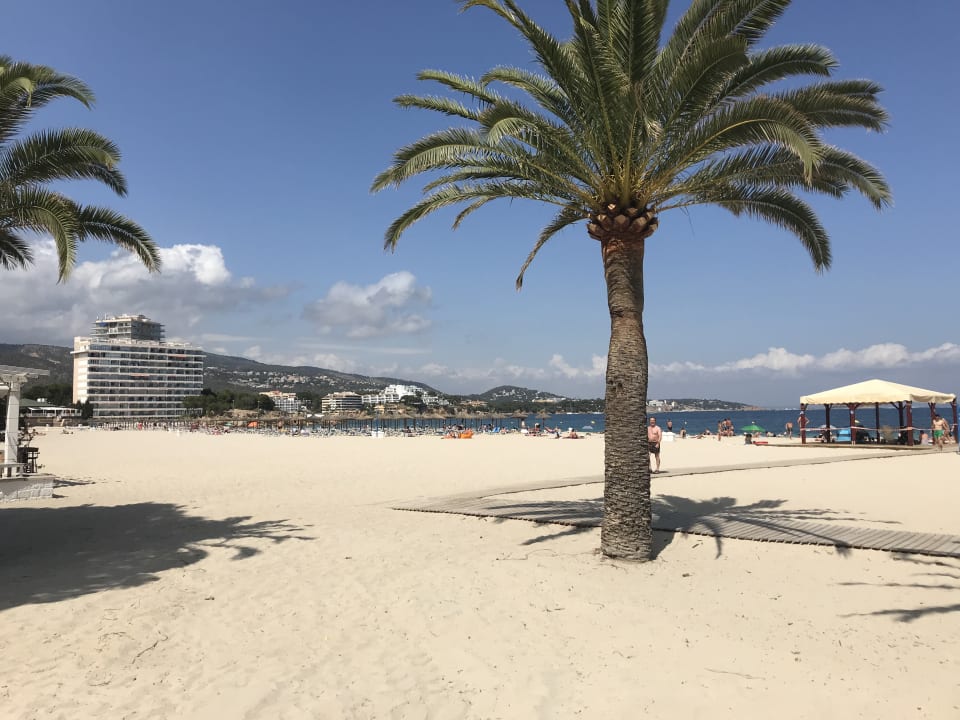 Strand Zafiro Palace Palmanova